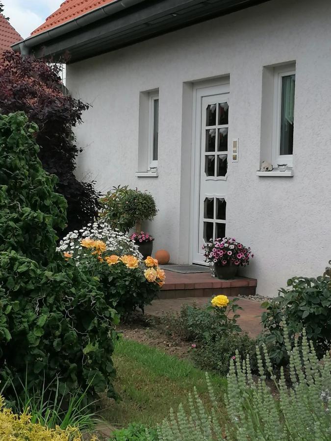 Appartement Fam. M.Lehmann Heringsdorf  Extérieur photo